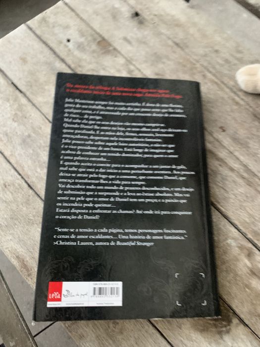 Atraida pelo fogo livro