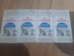 Royal canin INDOOR Sterilised sos i galareta 48x85g