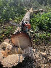 Wycinka drzew lasu wycinanie skup drewna pilarz drwal