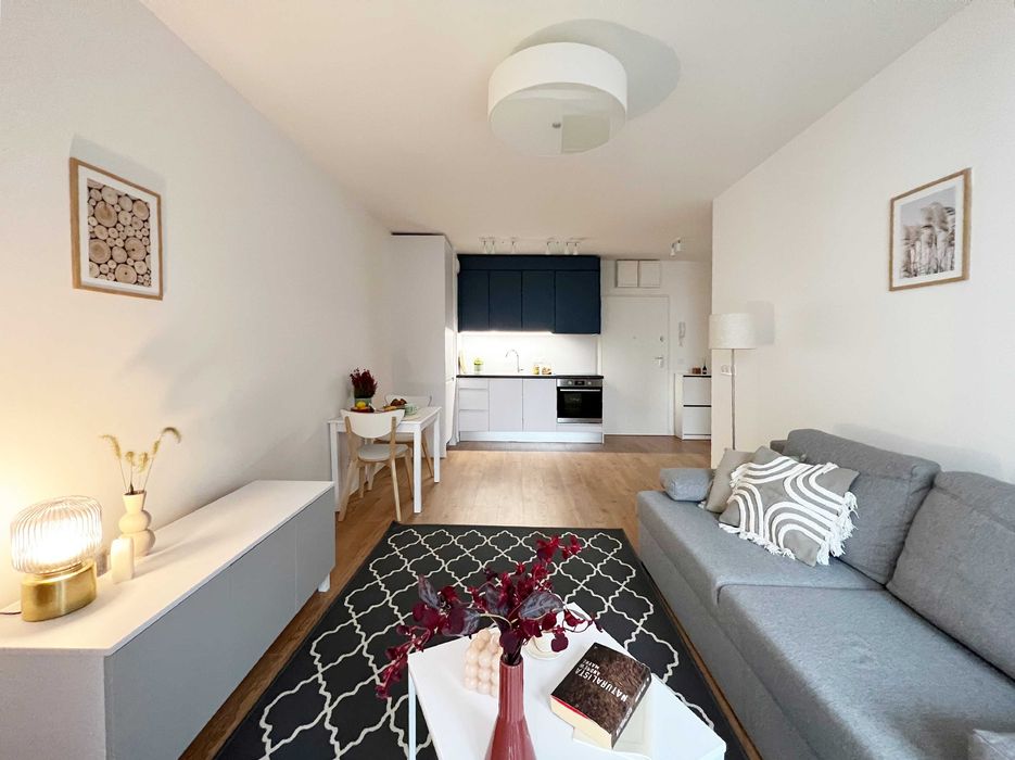 2 Pok. | Słoneczne | Bezpośrednio | Jeżyce | Pets friendly | od Zaraz