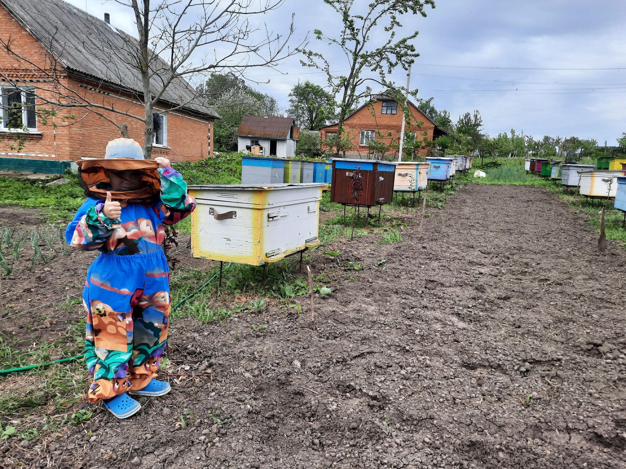 Продам бджолопакети,породи українська степова.Хмельницький