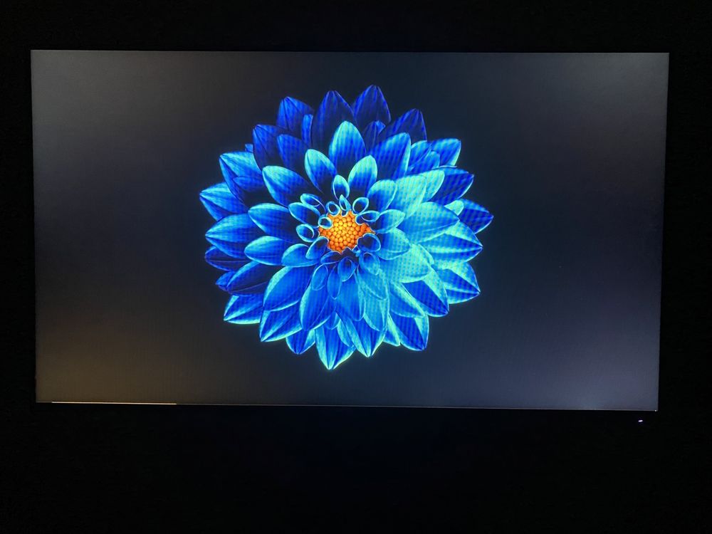 DELL Ultra Sharp 24 Monitor U2419H LCD