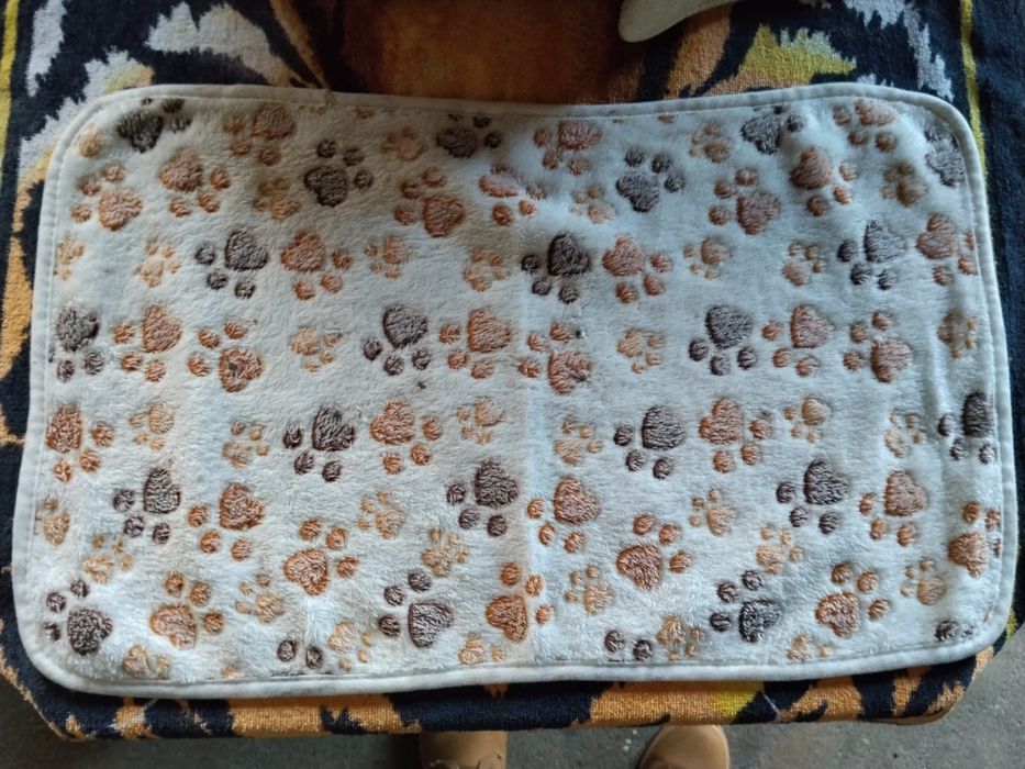 Casa de banho + Tapetes (Gato)