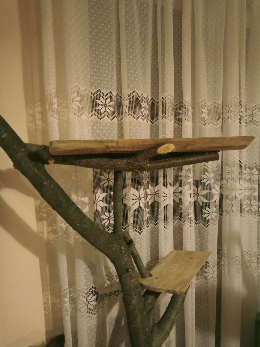 Drapak, legowisko, kwietnik na kwiaty handmade