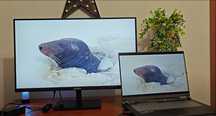 ARZOPA M1RC-27" 180Hz 2K QHD Monitor Gamingowy