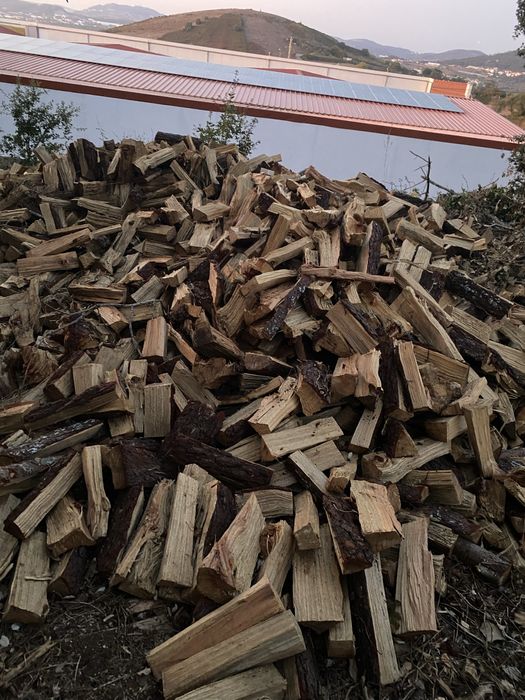 Lenha seca de mistura