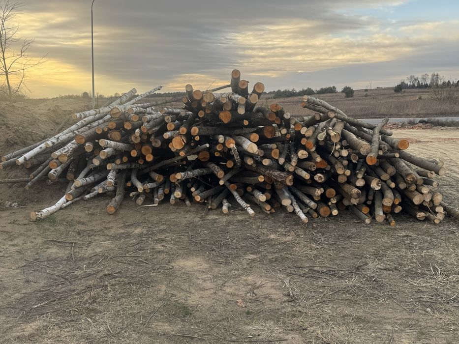 Деревяні стойки стійки опори на опалубку залиття повали опалубка