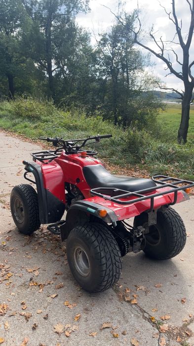 Quad Adly 300cc nowy gaźnik! Wszystko sprawne jeżdżący polecam.