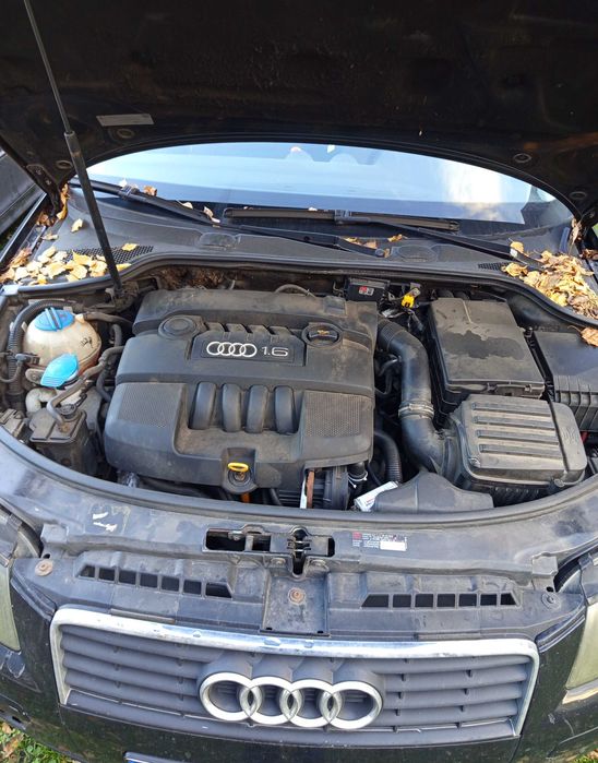 Audi A3 8P 1.6 MPI BGU 2003