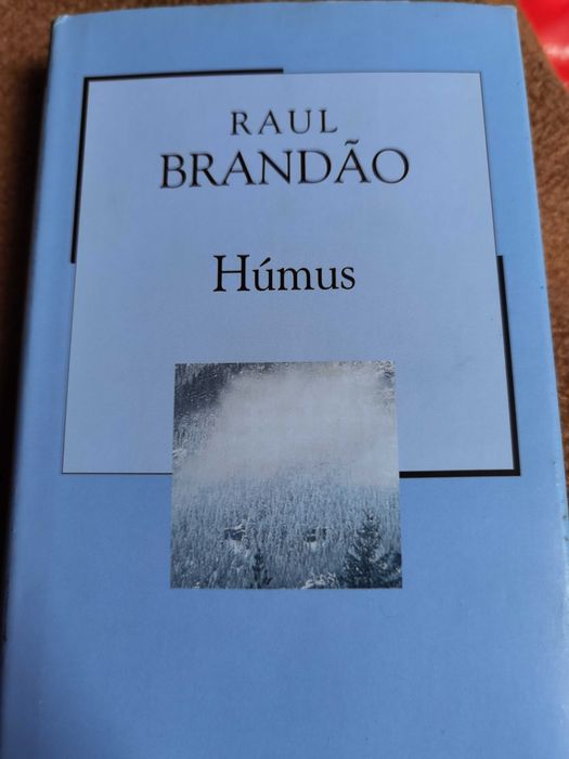 Raul Brandão Humus