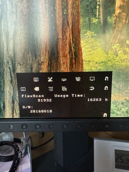 Monitor EIZO FlexScan S1932