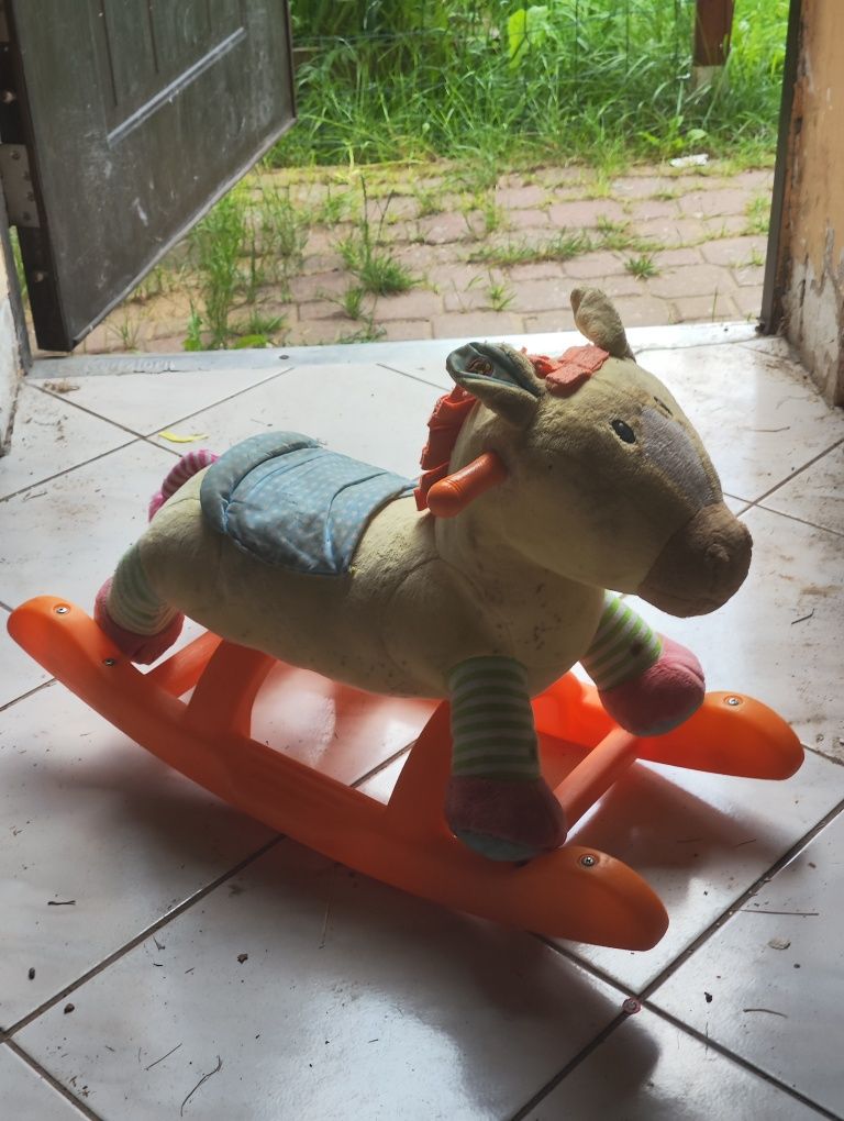 Konik na biegunach