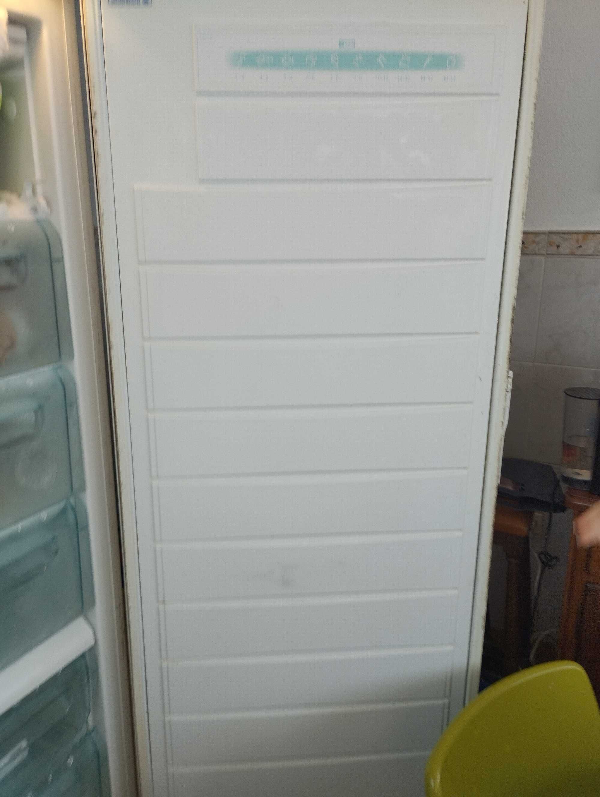 Arca Electrolux a funcionar perfeitamente