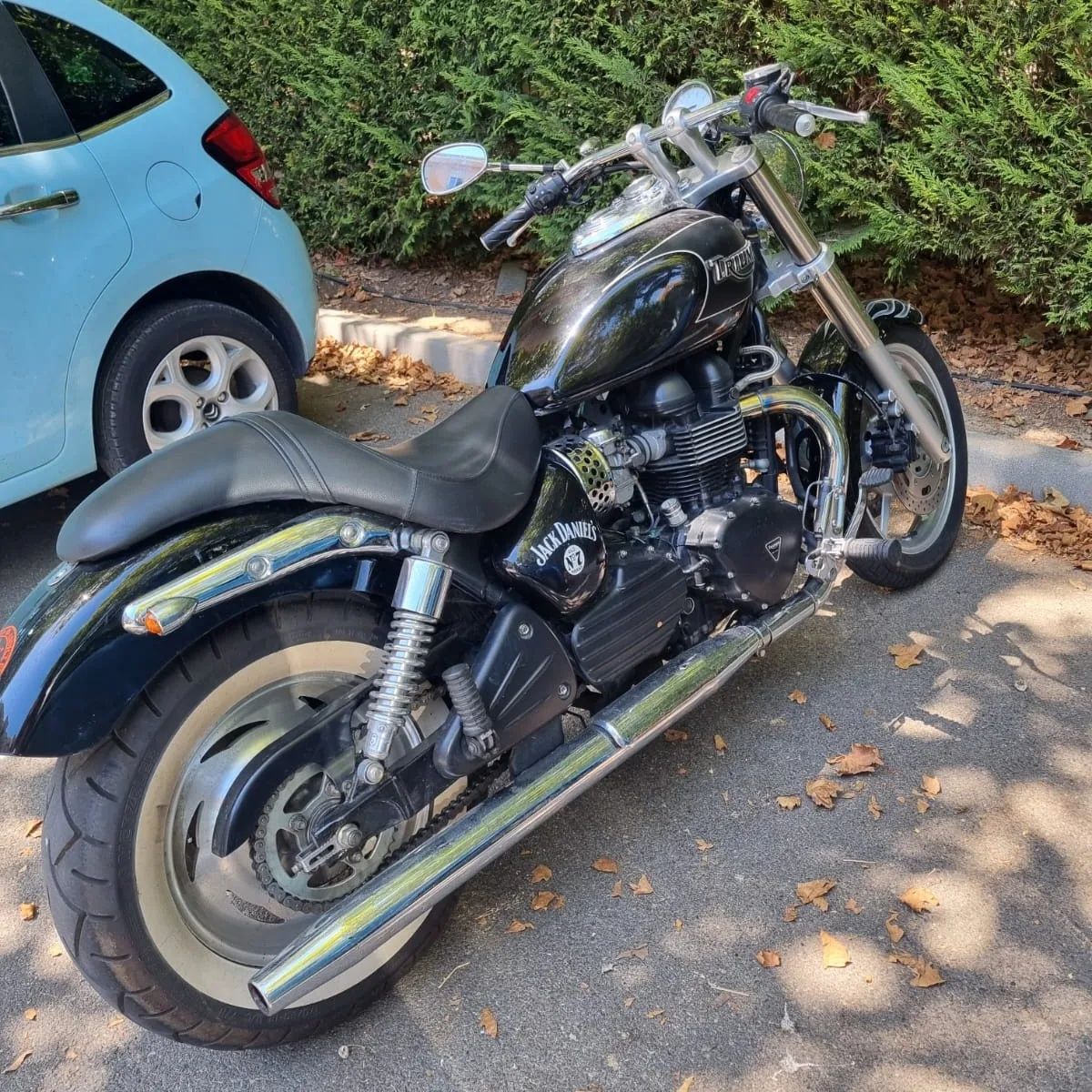 Triumph Speed master