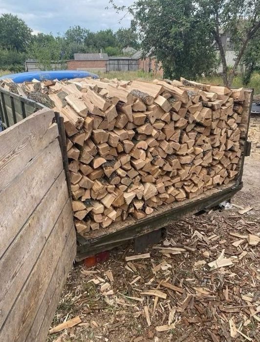 Продам дрова твердих порід