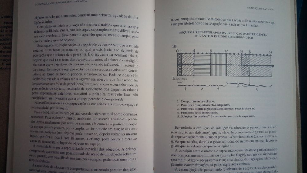 O Desenvolvimento Psicológico da Criança