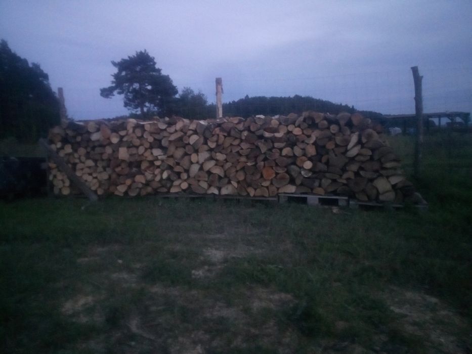 Drewno bukowe opałowe buk drzewo z transportem