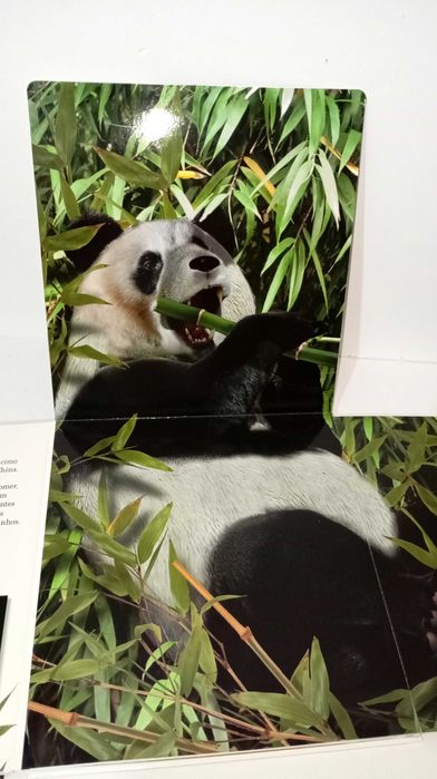 Os Incríveis Animais Selvagens Gigantes - RESERVADO