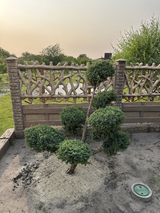 Стрижка хвойних рослин ,