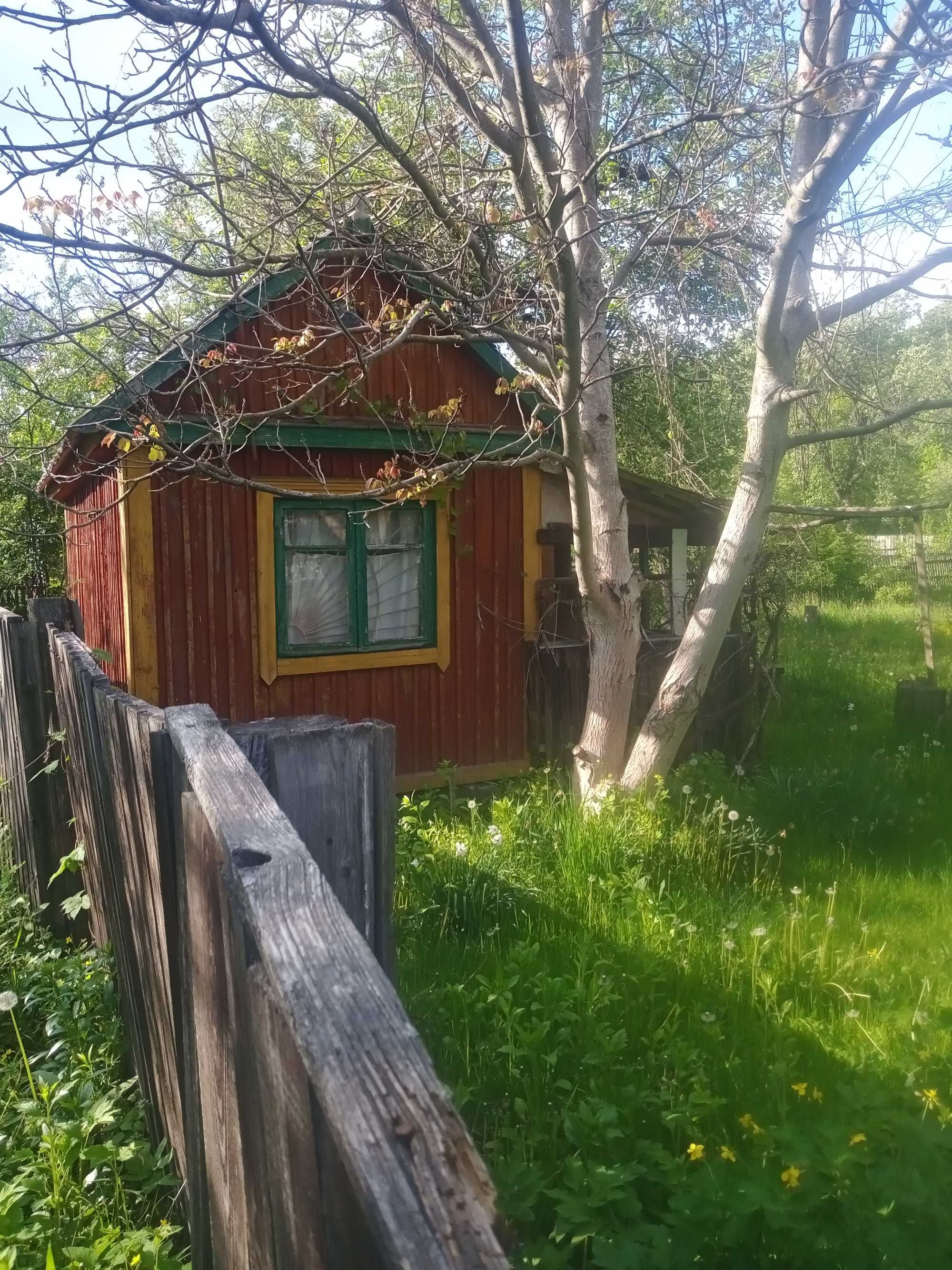 Продается дача. Город Коростень, Житомирской области.