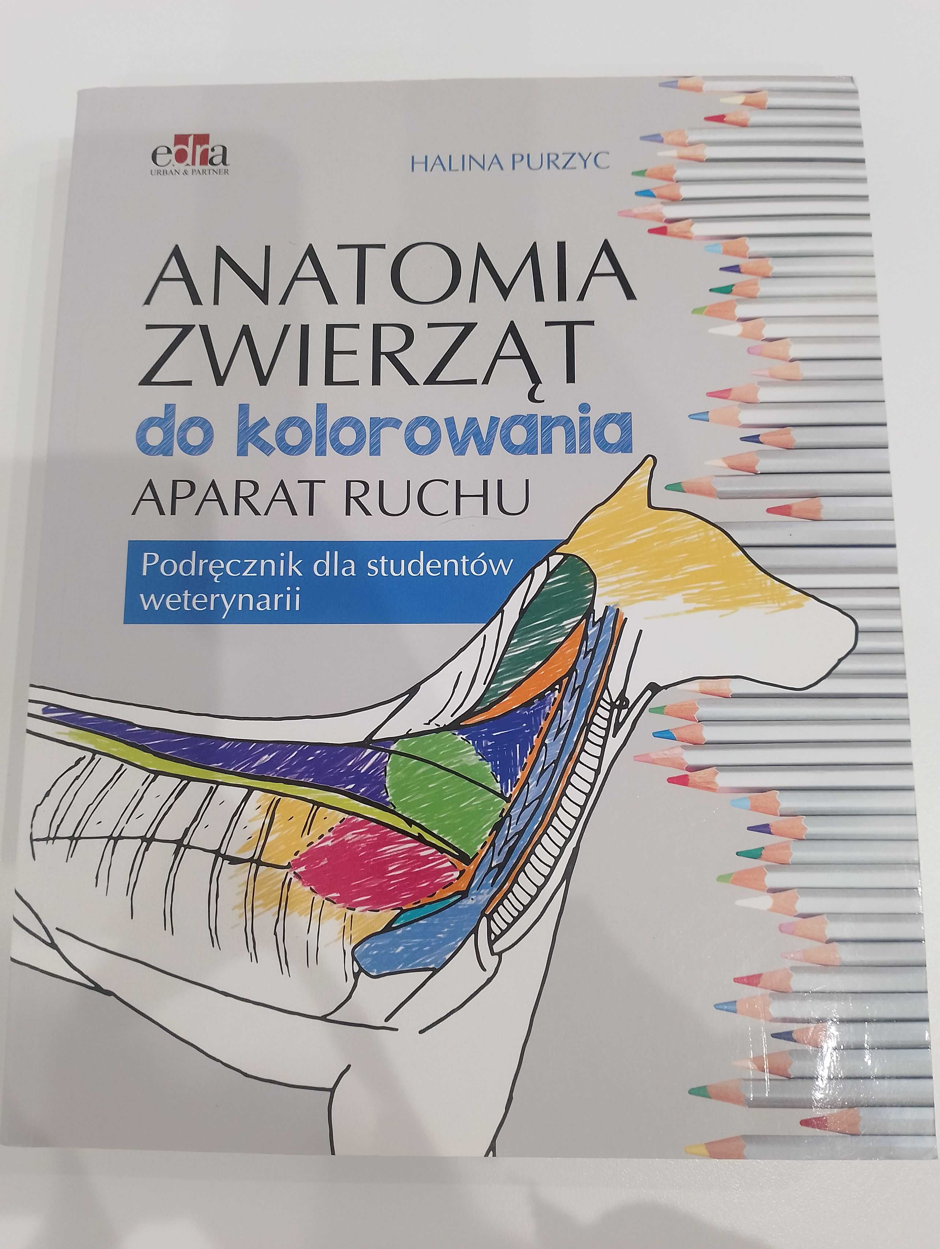 Anatomia zwierząt do kolorowania aparat ruchu