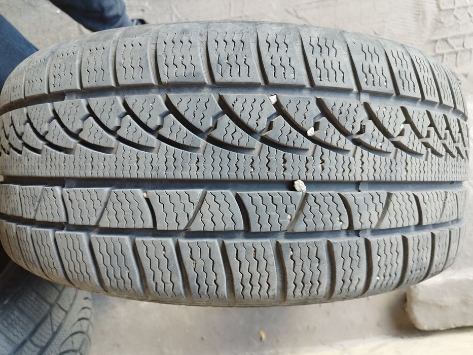 Petlas Snow Master W651 235/40 r18 (только самовывоз)