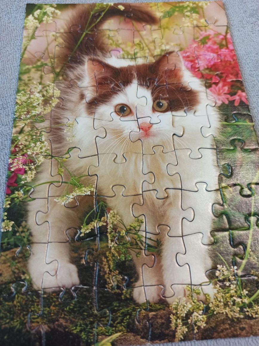 Puzzle Trefl Kot
