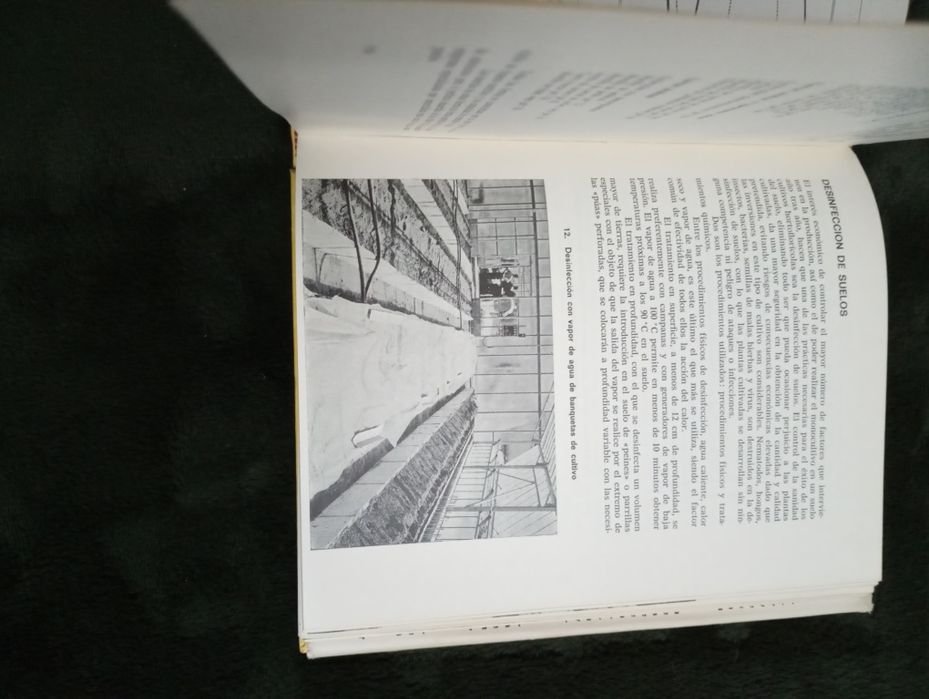 Cultivos Ornamentales	- Jesús Miranda de Larra y de Onís 1975 1 Edição