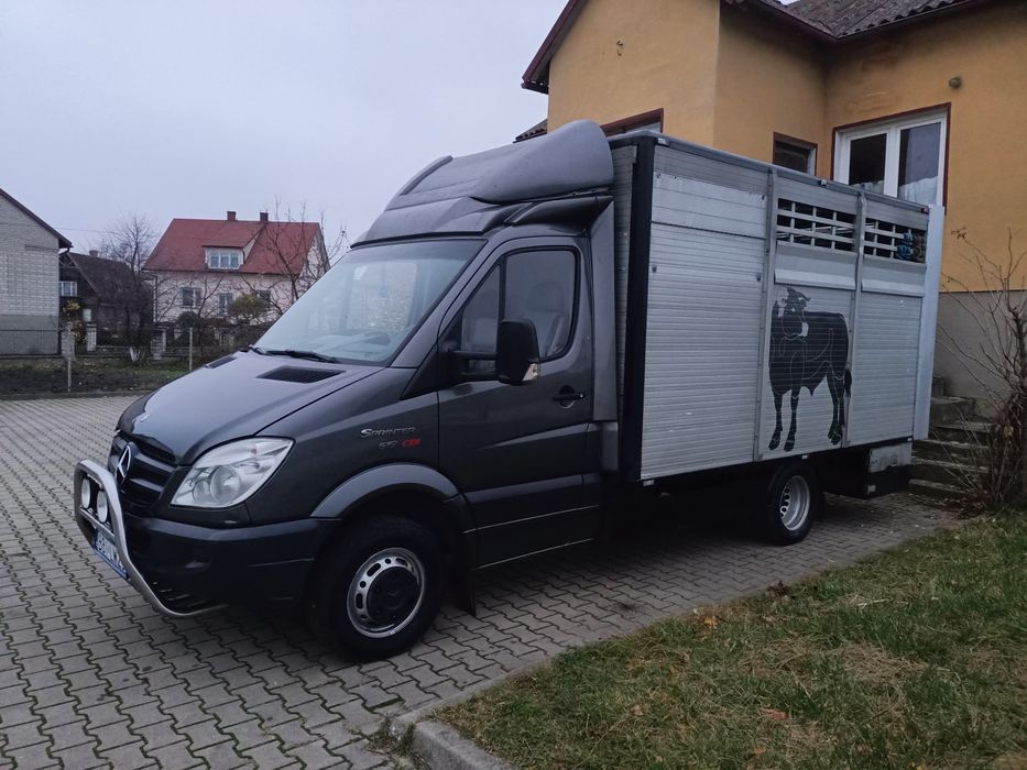 Mercedes Sprinter do Żywca 3.0 v6
