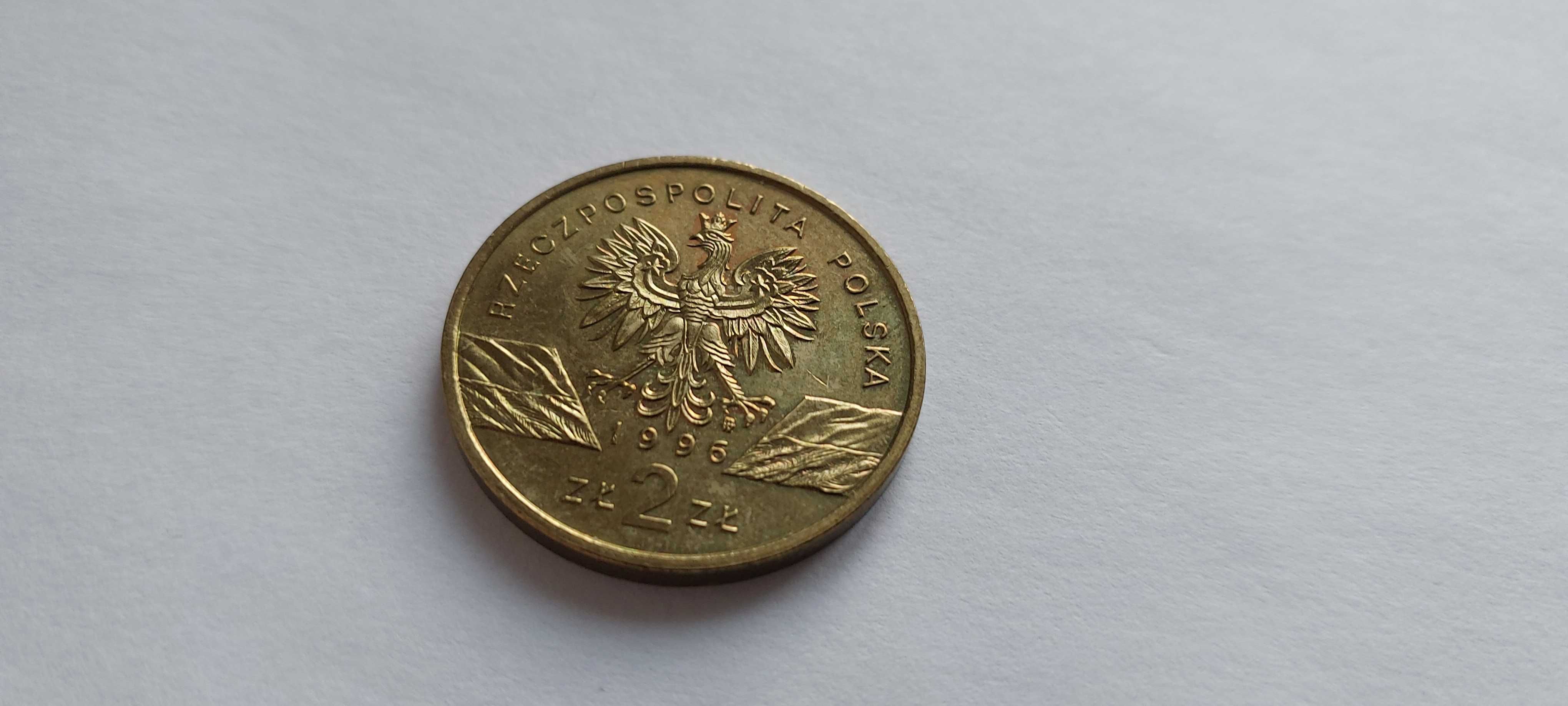 moneta 2zł Jeż Erinaceus Europaeus z obiegu rok 1996