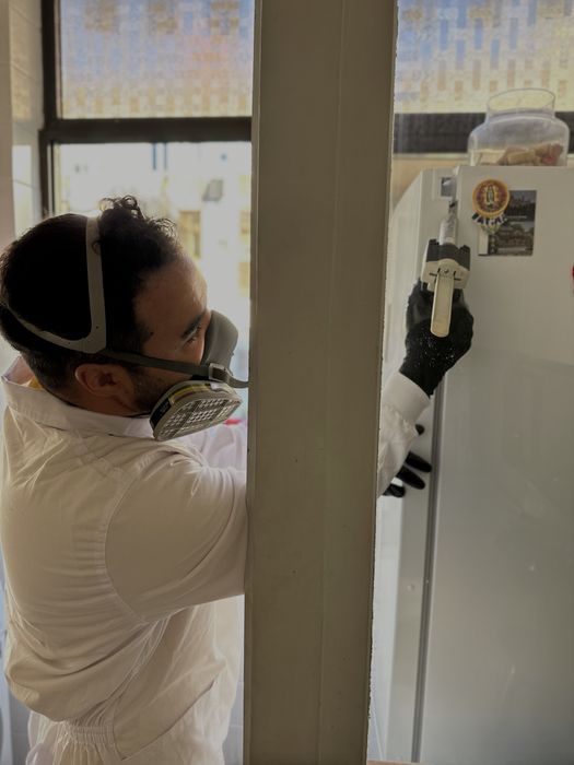 DESINFESTAÇÃO CONTROLO D EPRAGAS PERCEVEJOS BARATAS PULGAS TÉRMITAS