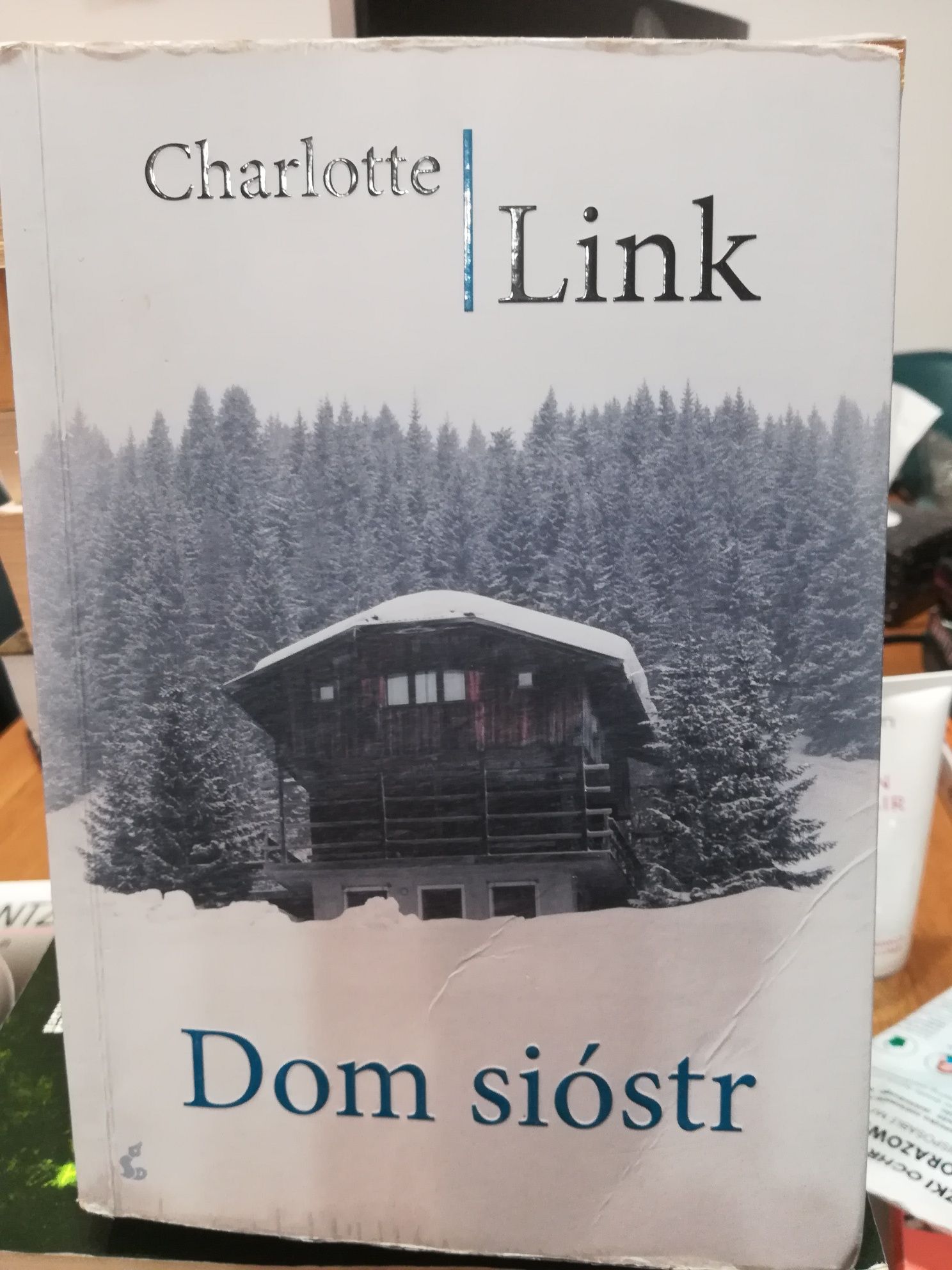 Charlotte Link "Dom Sióstr"