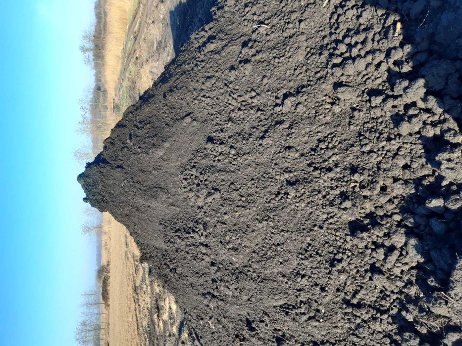 Czarnoziem, ziemia ogrodowa, humus