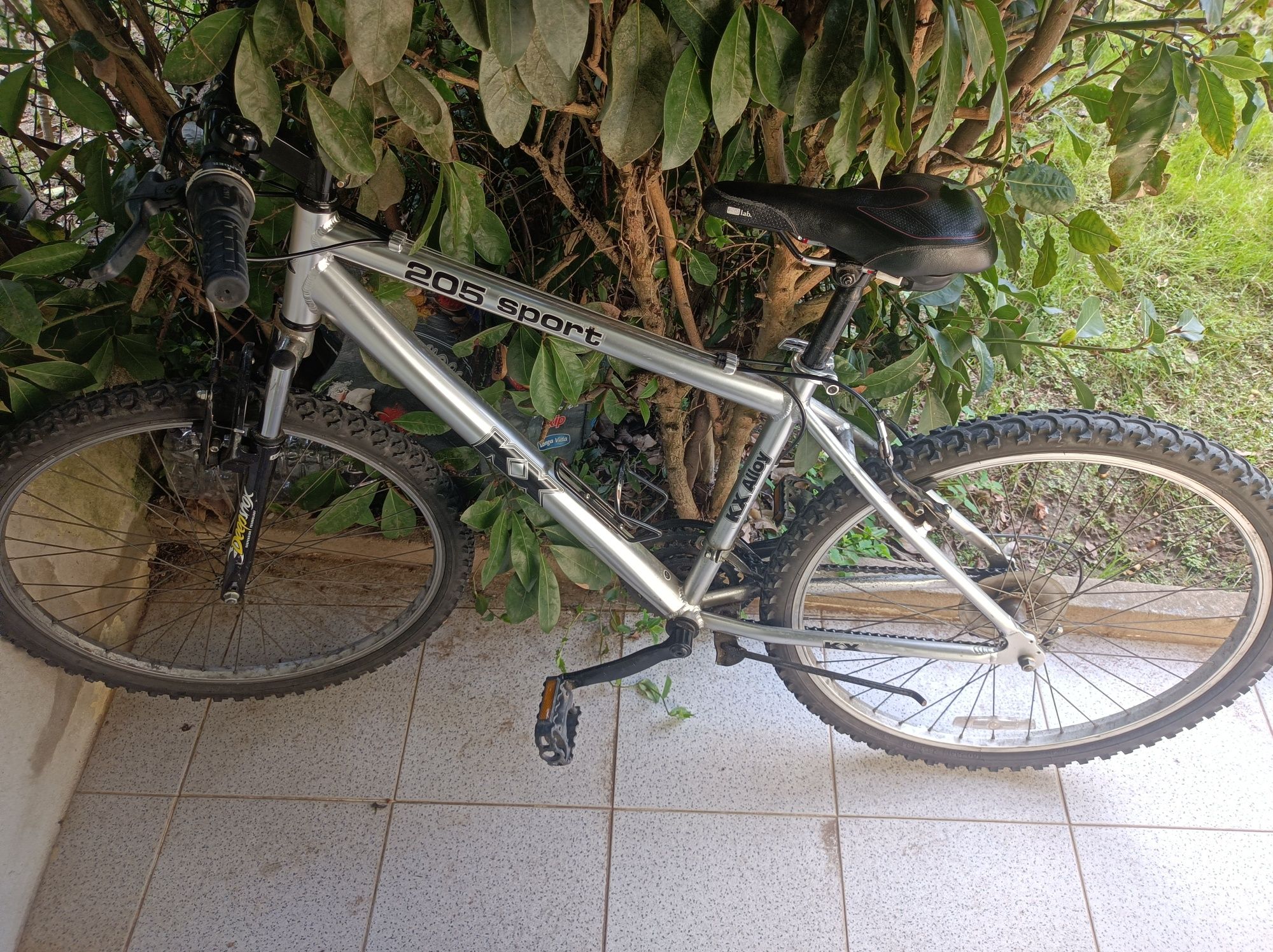bicicleta cinzenta