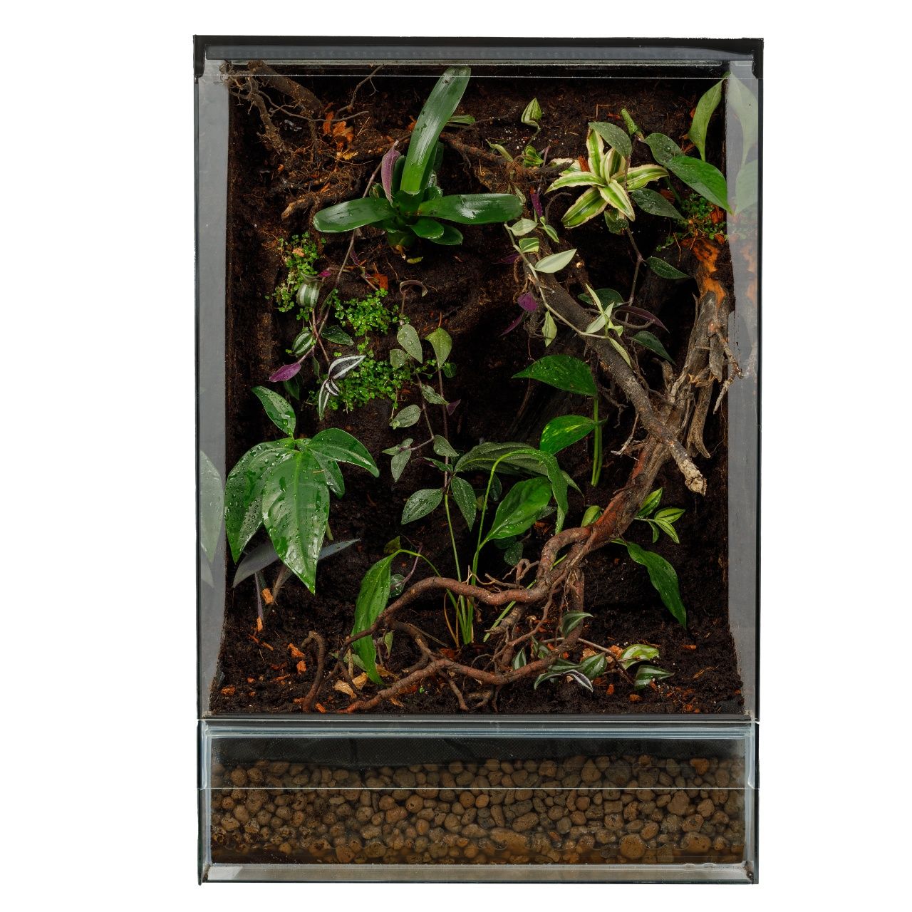 Terrarium paludarium  dla gekona