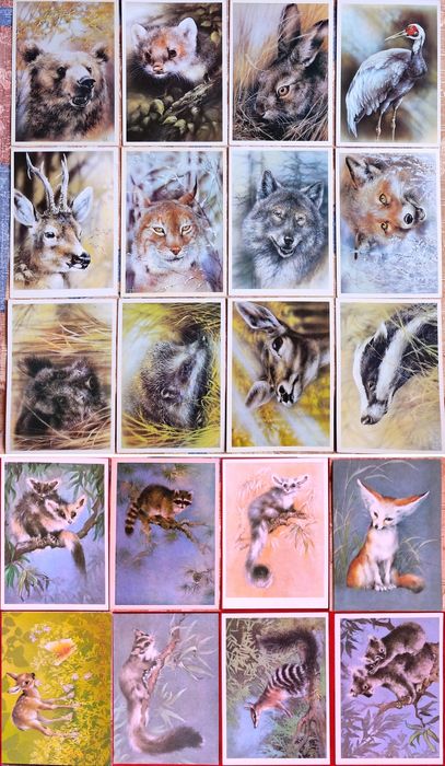 Листівки Ісаков Открытки Исаков