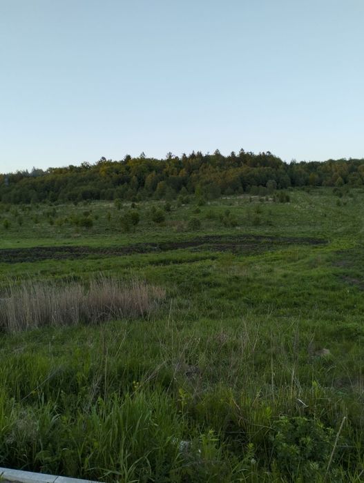 Продам земельну ділянку Львівська область пустомитівський район село к