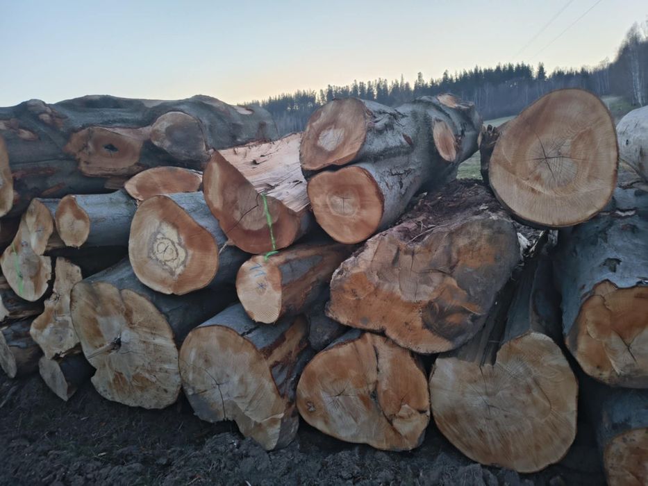 Drewno opałowe kominkowe buk