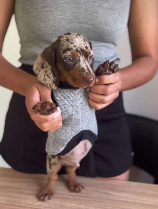 Шоколадний мрамор хлопчик та дівчатка