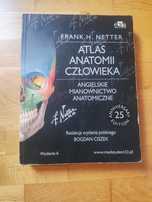 Atlas anatmii człowieka Netter
