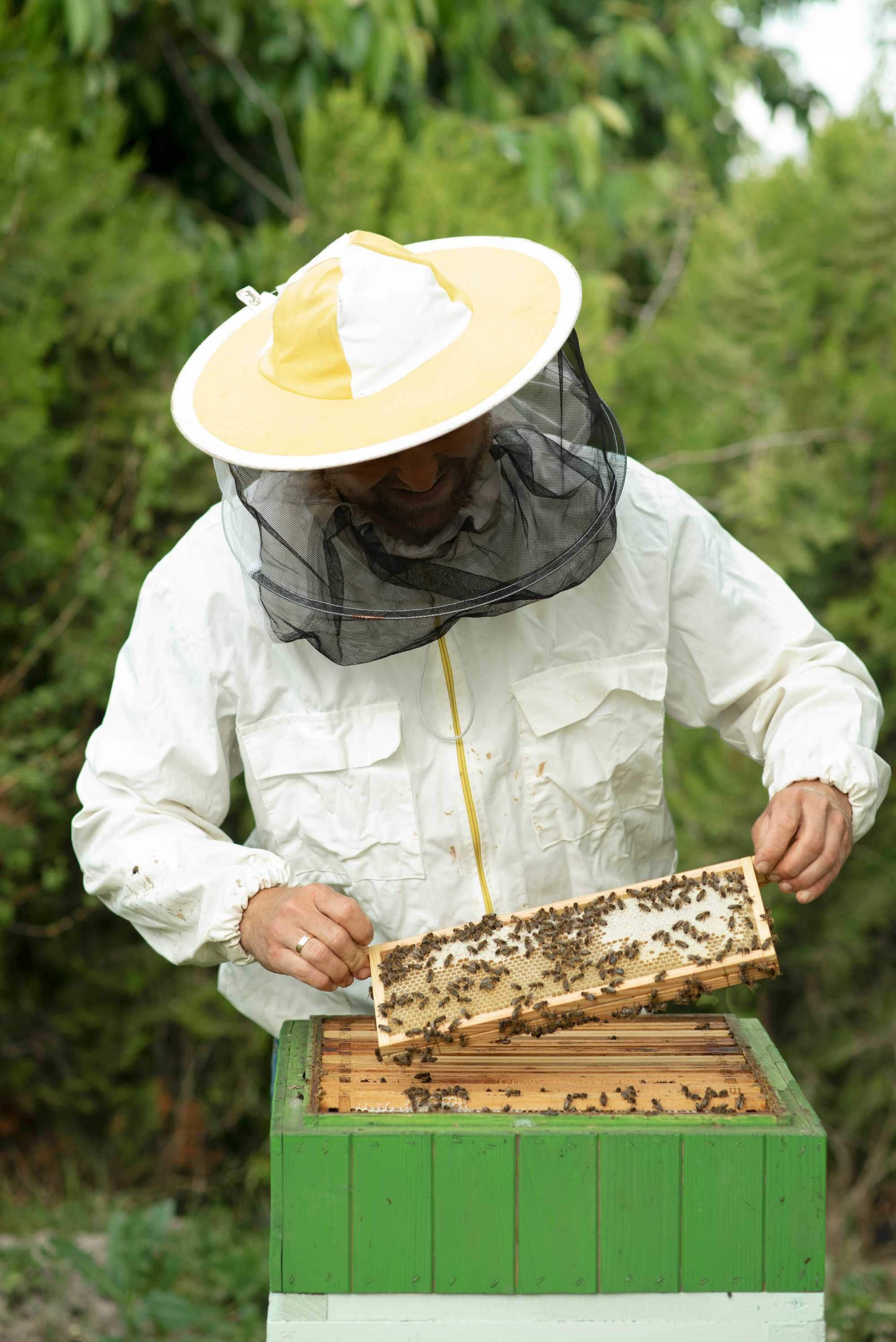 Pyłek pszczeli zbiór 2023