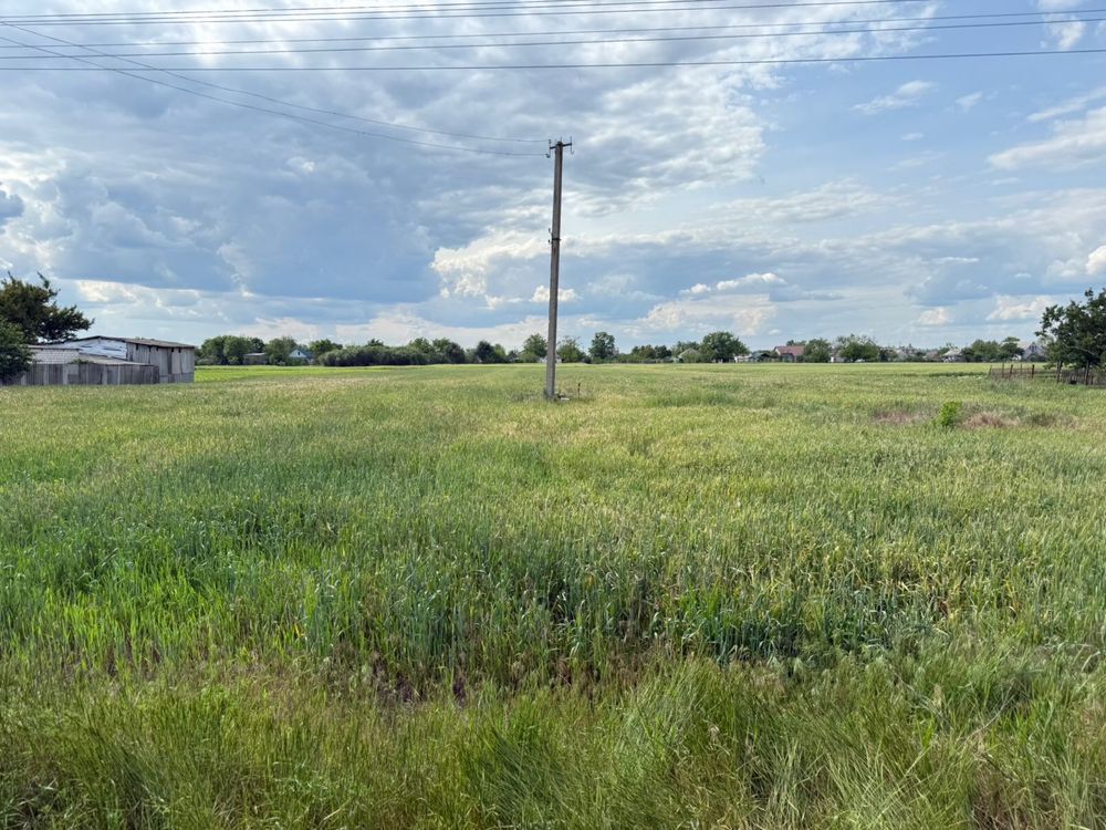 Продаж Земельної ділянки село Знаменівка