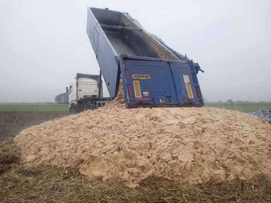 pulpa ziemniaczana pasza dla bydła 25t dostawa
