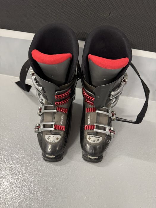 Buty narciarskie dalbello
