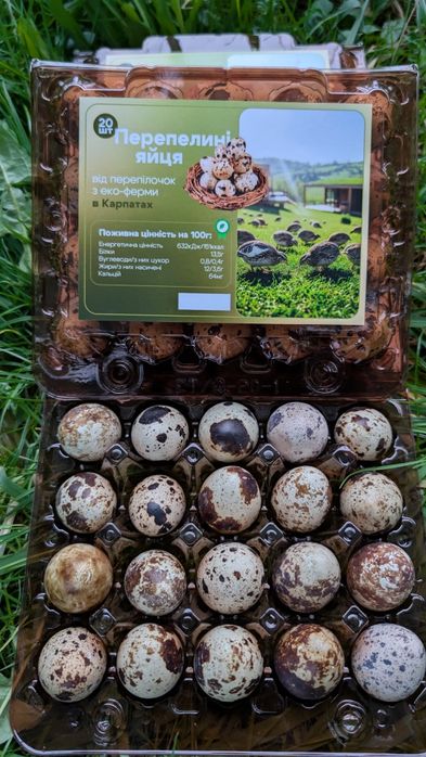 Перепелині яйця з Закарпаття еко гурт опт