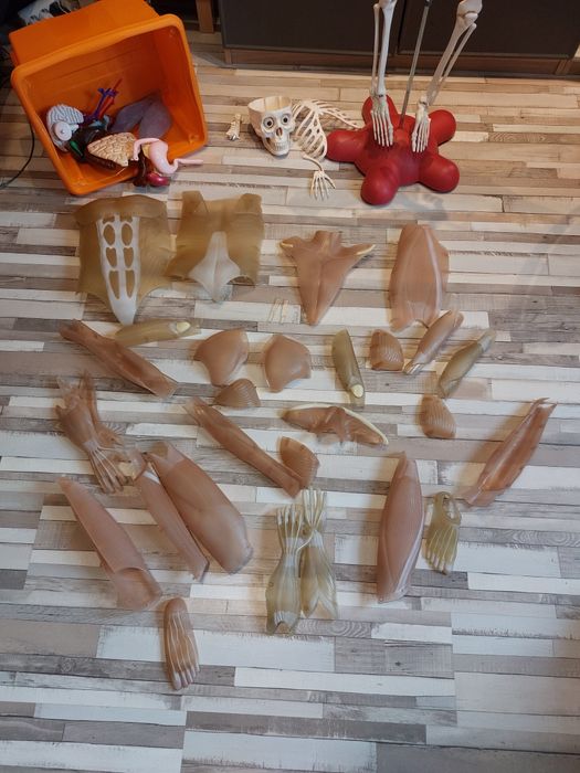 Kostek kosciotrup szkielet człowieka z gazetek