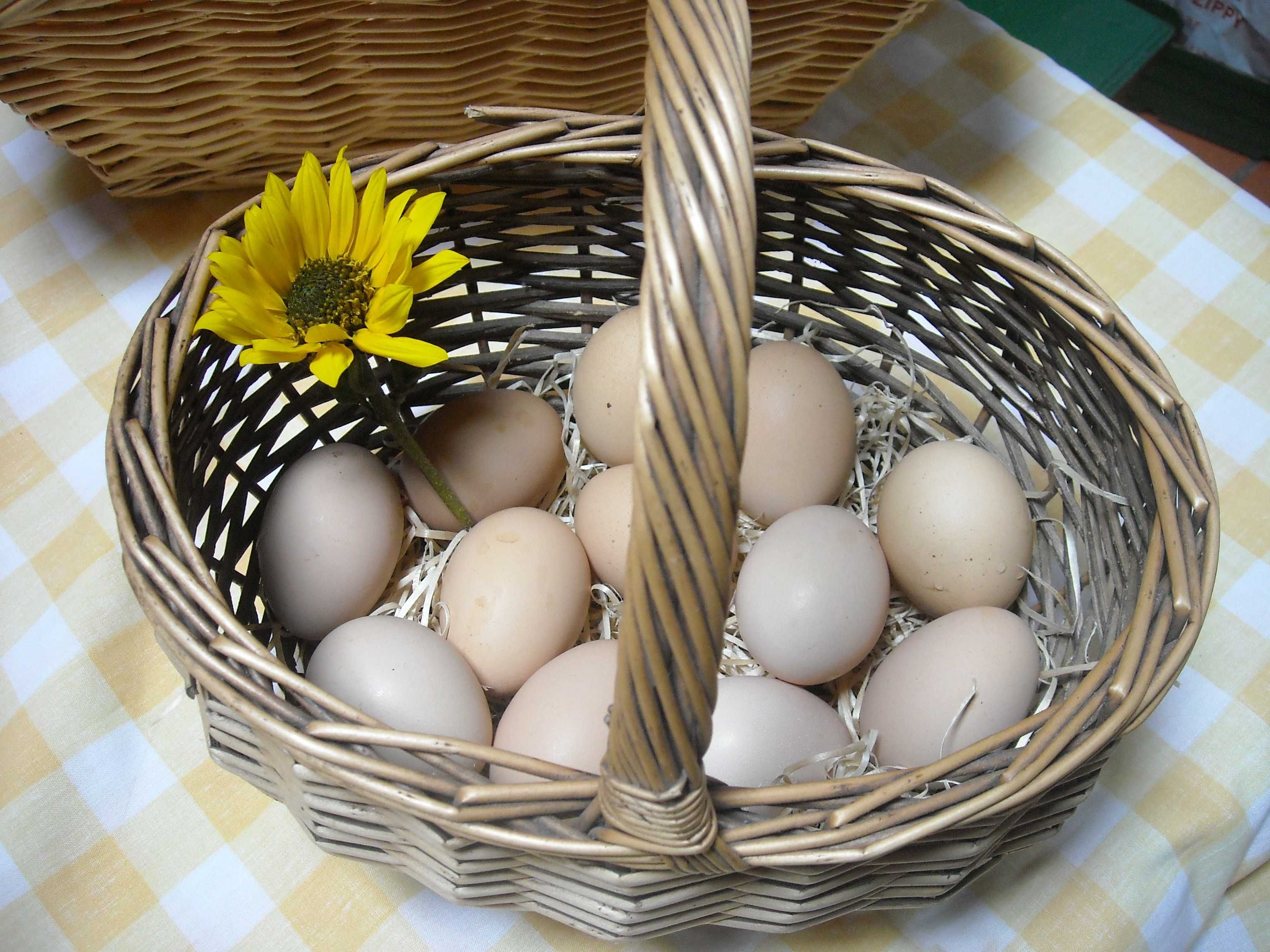 Laranjas limões ovos tomarilhos e chuchus  biológicos
