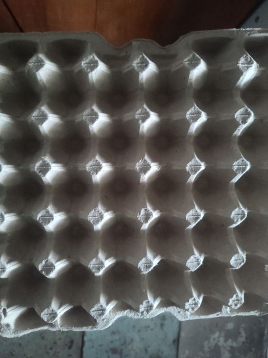 Котонні лотки для яєць.