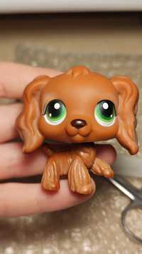 LPS Littlest pet shop pop spaniel #252 oryginał piesek pies figurka