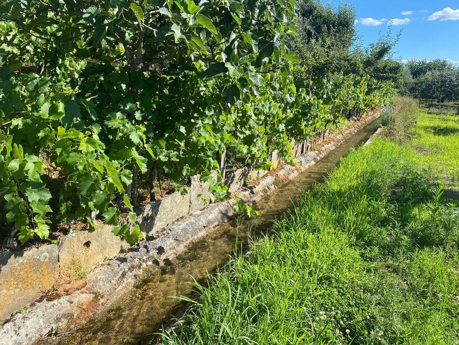 Terreno na Vila do Paul próximo das praias fluvias